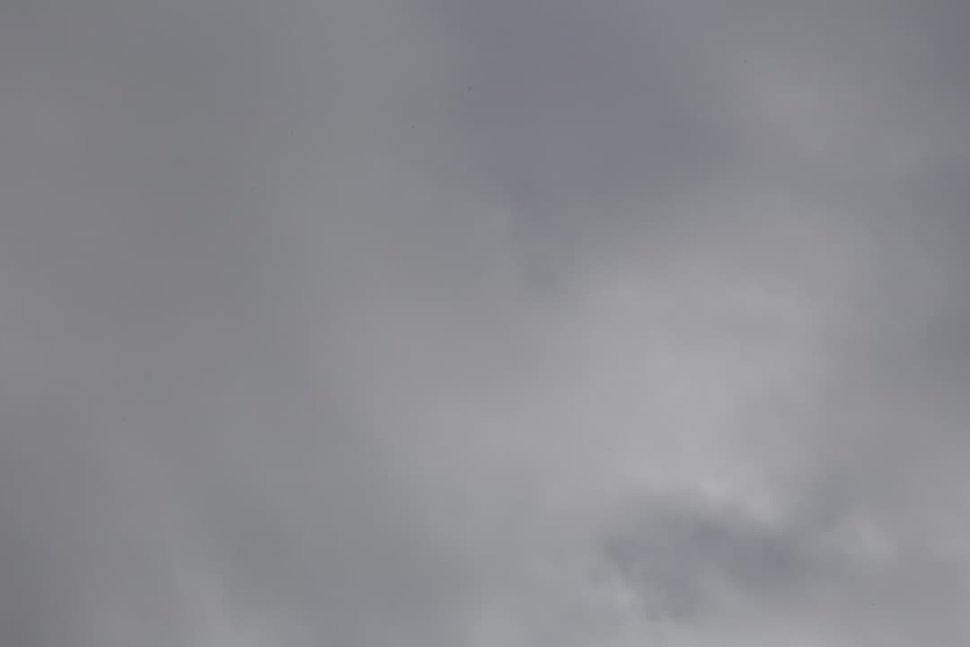 Canon EF 40mm F2.8 STM 単焦点レンズ (フィルター付き)