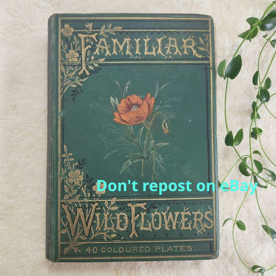 植物図鑑　洋書　ボタニカルアート　アンティーク　リトグラフ　25