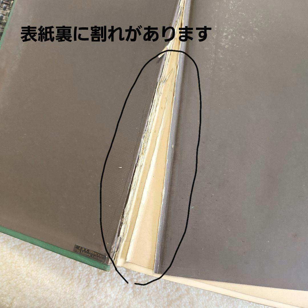 植物図鑑　洋書　ボタニカルアート　アンティーク　リトグラフ　25