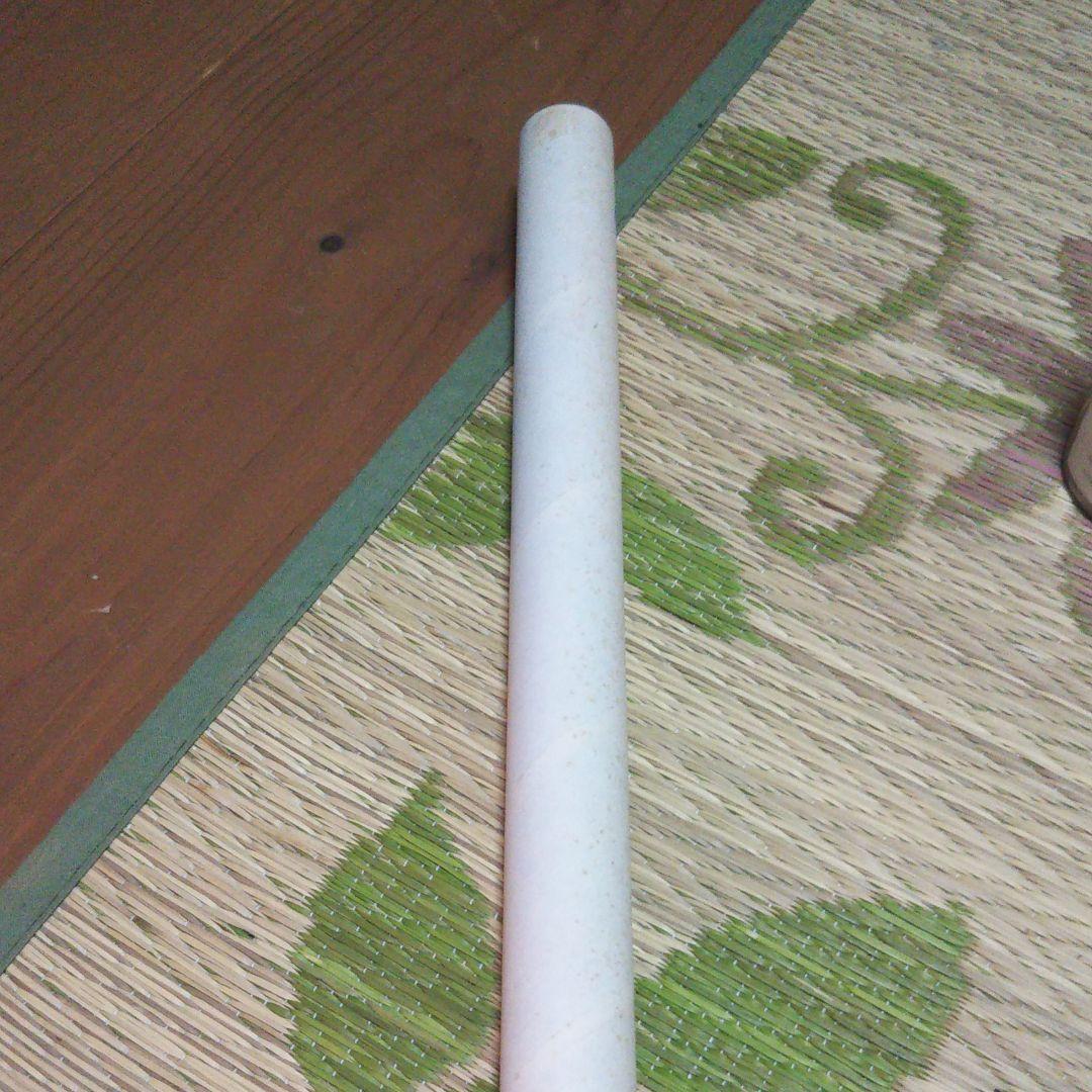 ①ファイナルロマンス2 ポスター  朝倉麗奈 うるし原智志