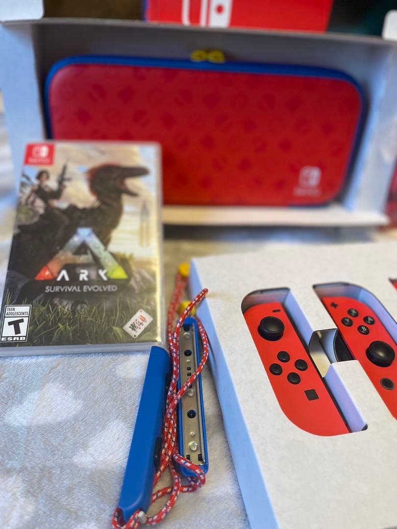 Nintendo Switch マリオレッド×ブルー 本体 カセットARK付き