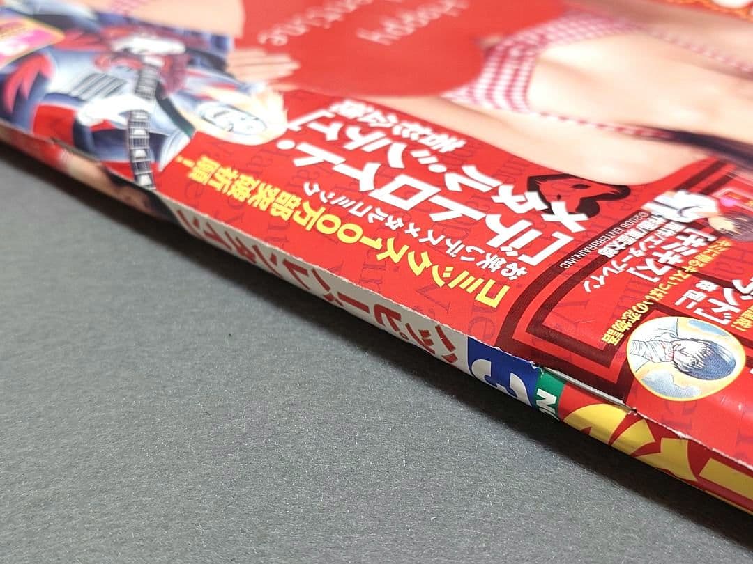 ヤングアニマル2007年3号ベルセルク巻頭カラー第281話掲載/三浦建太郎