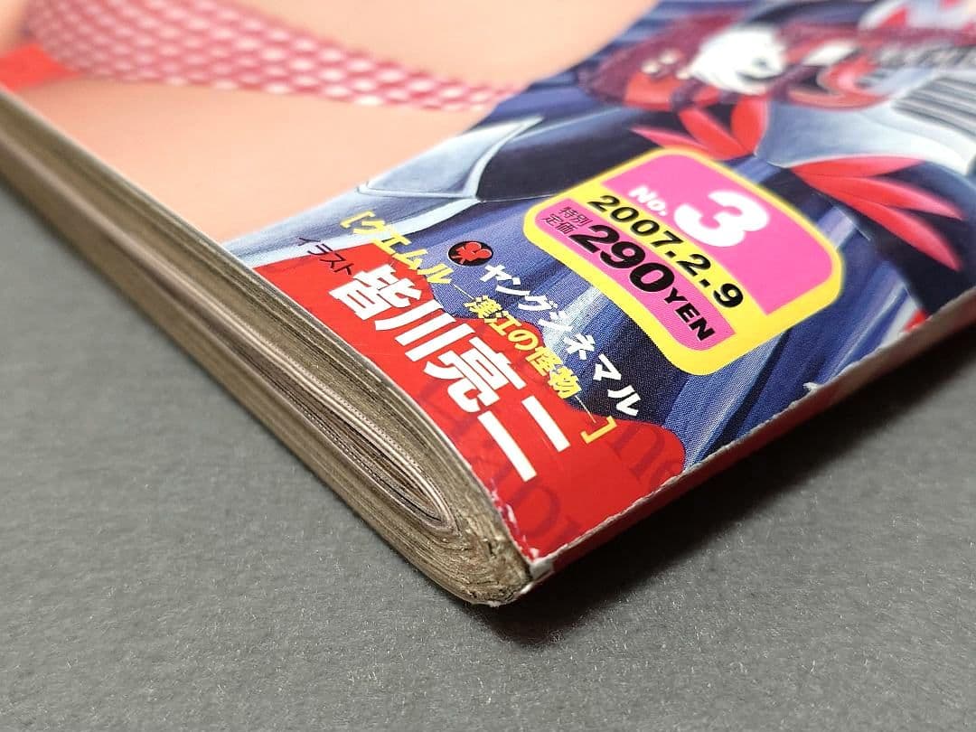 ヤングアニマル2007年3号ベルセルク巻頭カラー第281話掲載/三浦建太郎