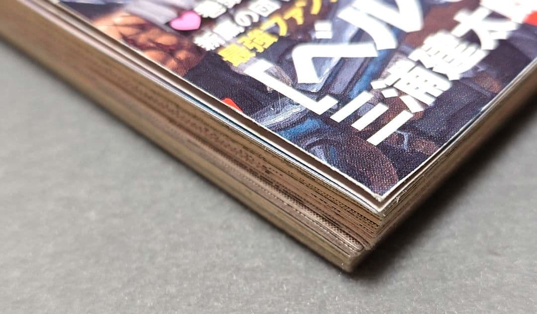 ヤングアニマル2007年3号ベルセルク巻頭カラー第281話掲載/三浦建太郎