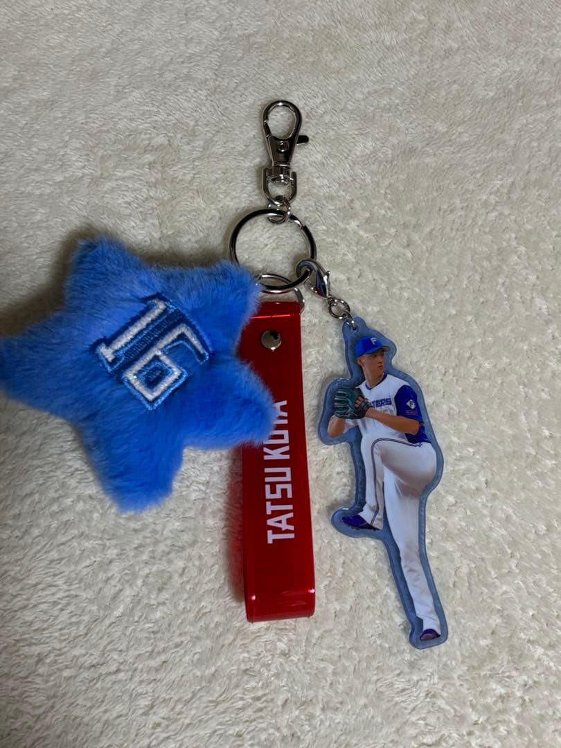 北海道日本ハムファイターズ 達孝太