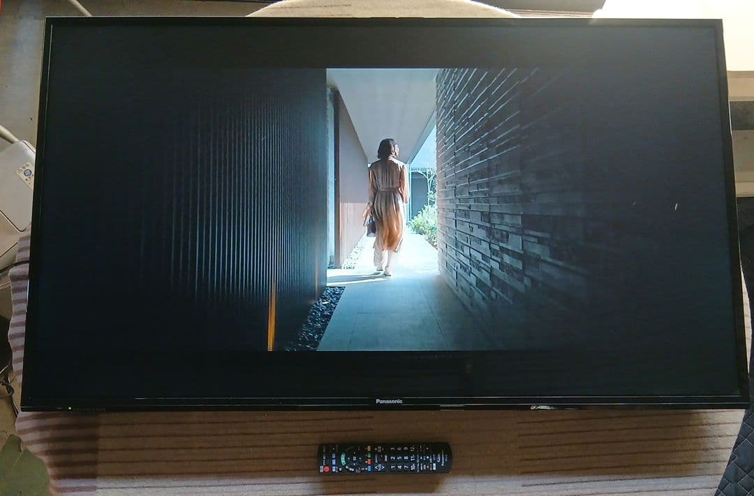 49インチ液晶テレビPanasonic TH-49E300HT【スタンド無】 ㉑