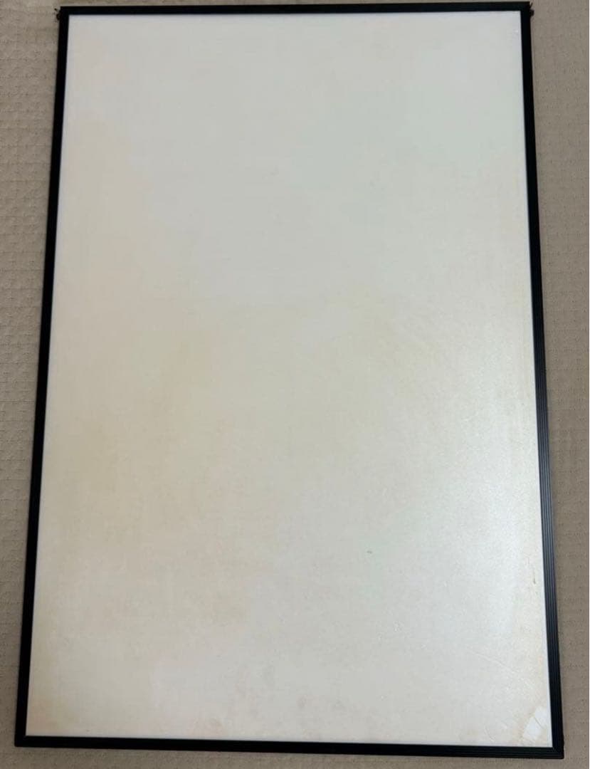 FRANK KOZIK フランク コジック　GreenDay