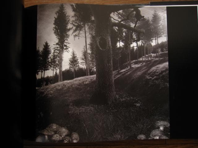 Anthony Goicolea　アンソニー・ゴイコレア