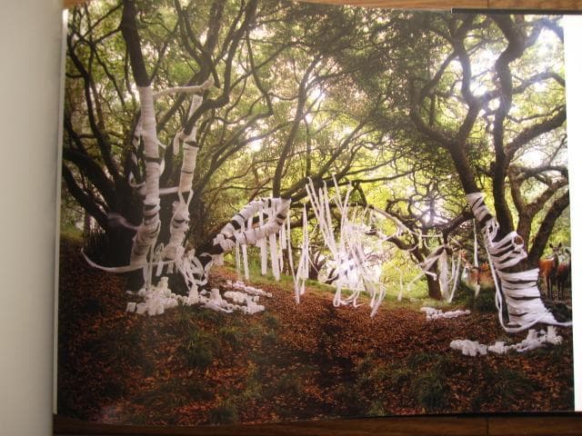 Anthony Goicolea　アンソニー・ゴイコレア