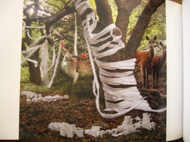 Anthony Goicolea　アンソニー・ゴイコレア