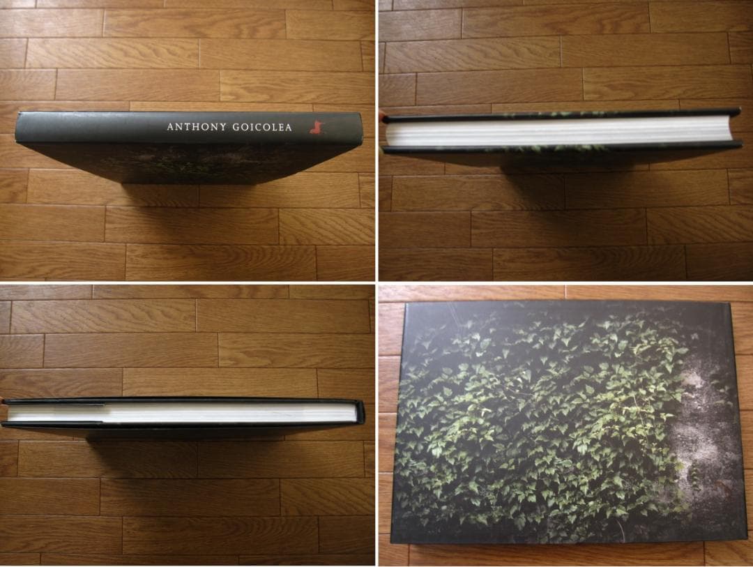 Anthony Goicolea　アンソニー・ゴイコレア