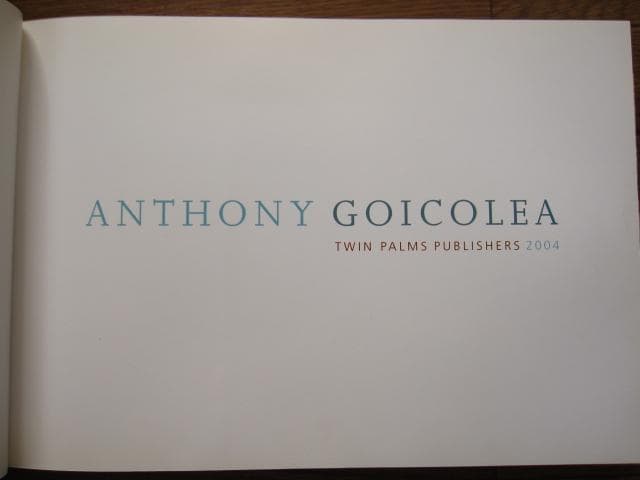 Anthony Goicolea　アンソニー・ゴイコレア