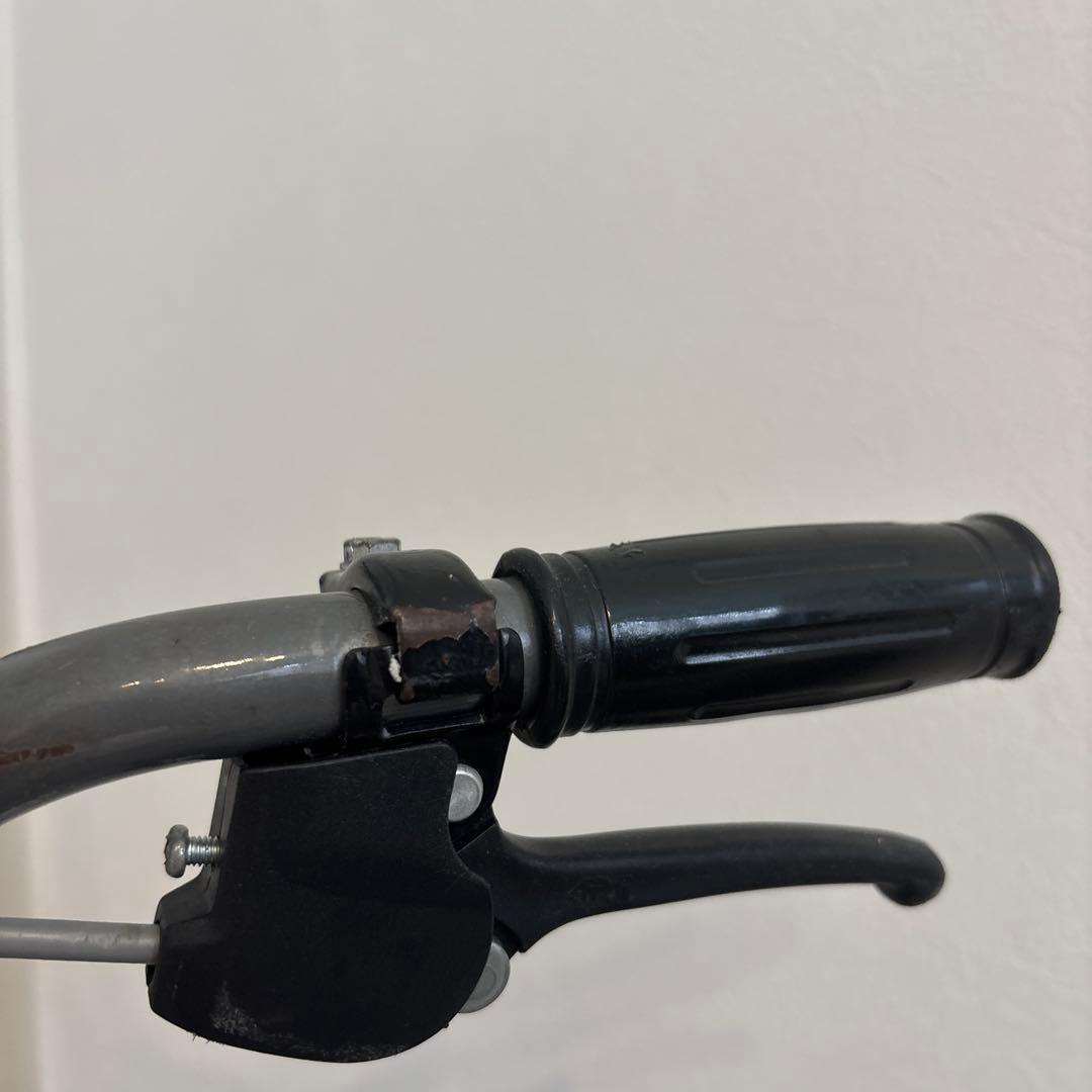 リーズポート(REEDSPORT) 子供用自転車