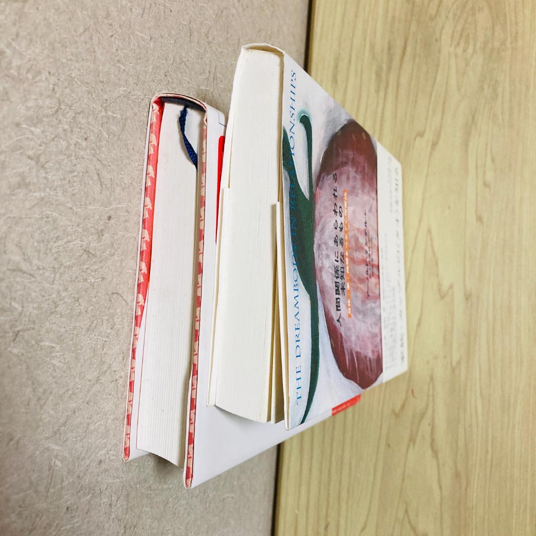 うしろ向きに馬に乗る、人間関係にあらわれる未知なるもの、アーノルド・ミンデル