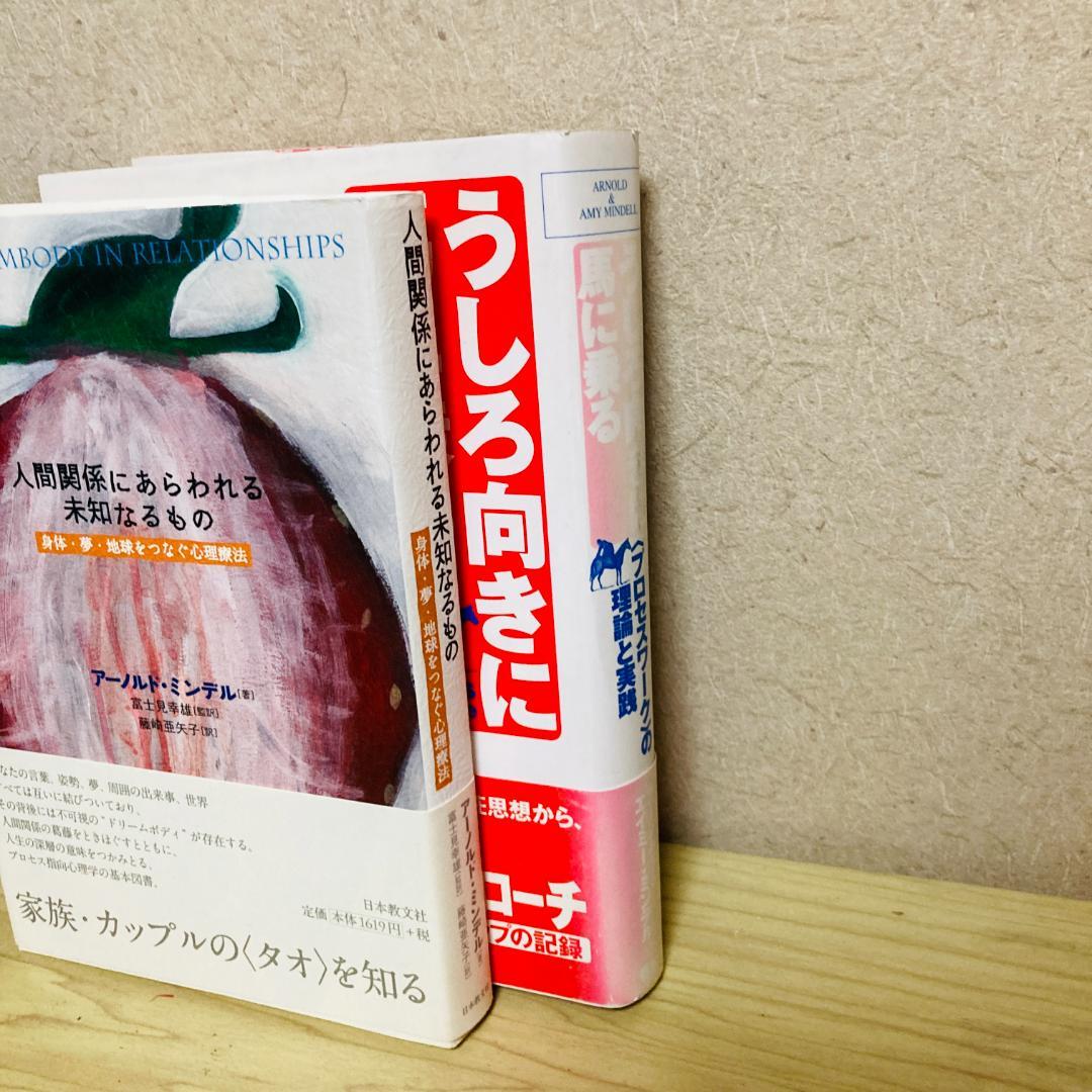 うしろ向きに馬に乗る、人間関係にあらわれる未知なるもの、アーノルド・ミンデル