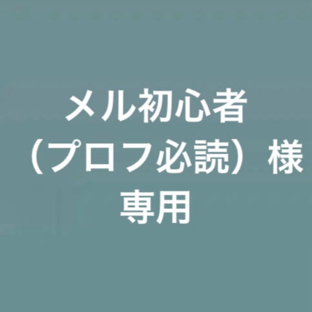 メル初心者（プロフ必読）
