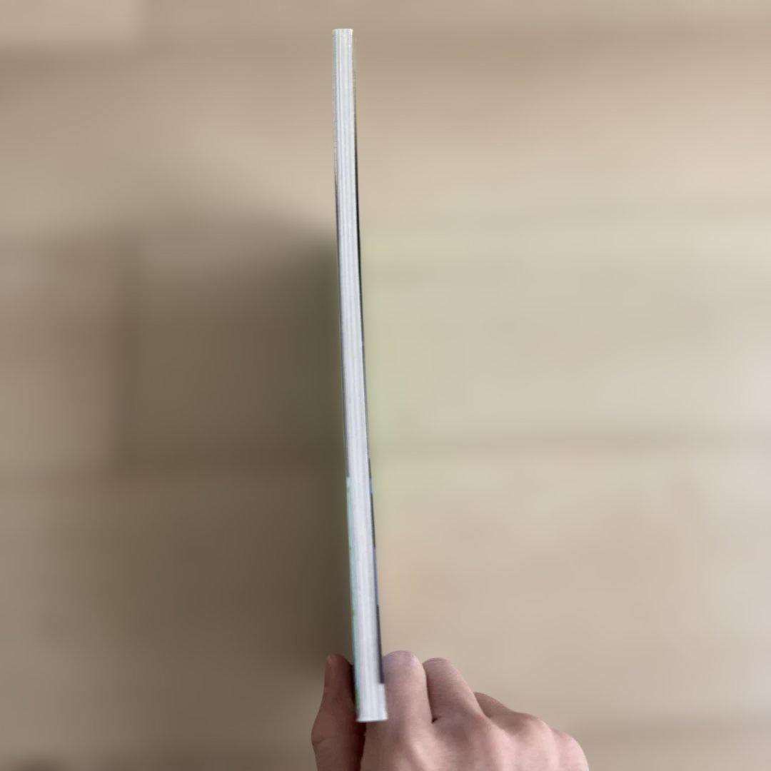 涙の怪獣パーティー / スケートシング c.e cavempt シーイー