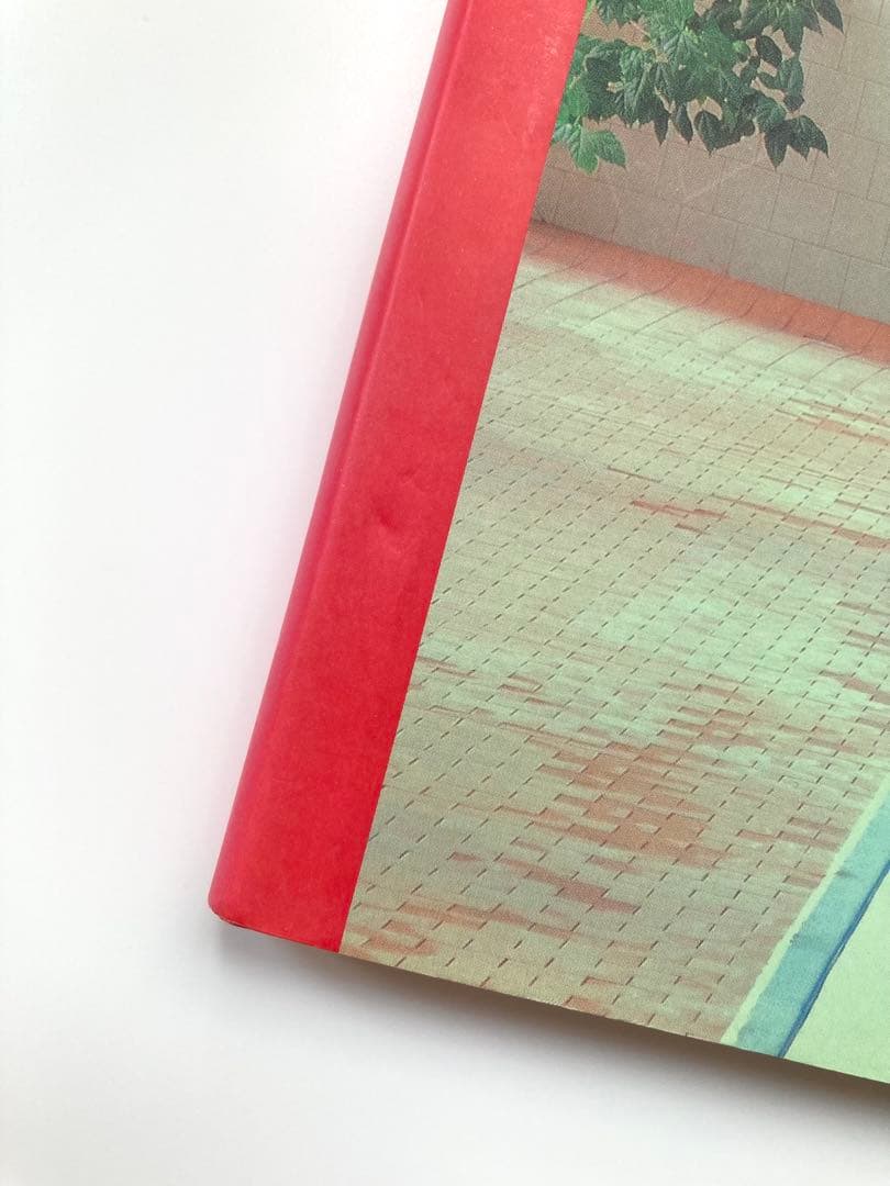 Maria Svarbova 「 Swimming Pool 」東欧プール写真集