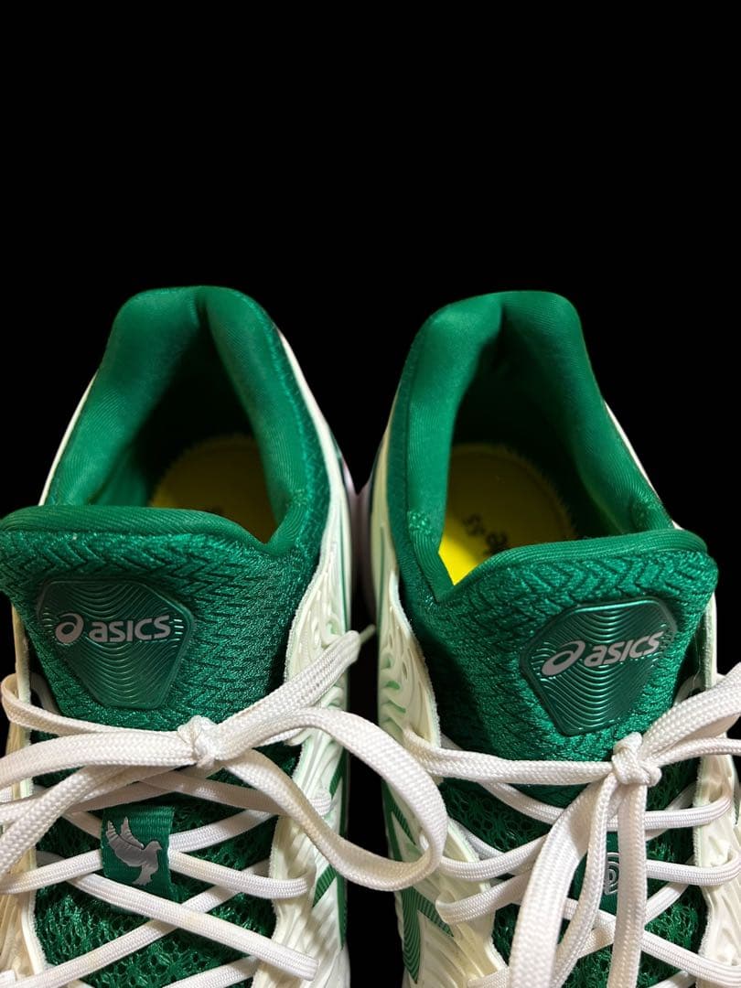 asics コートff ジョコビッチモデル　25.5cm