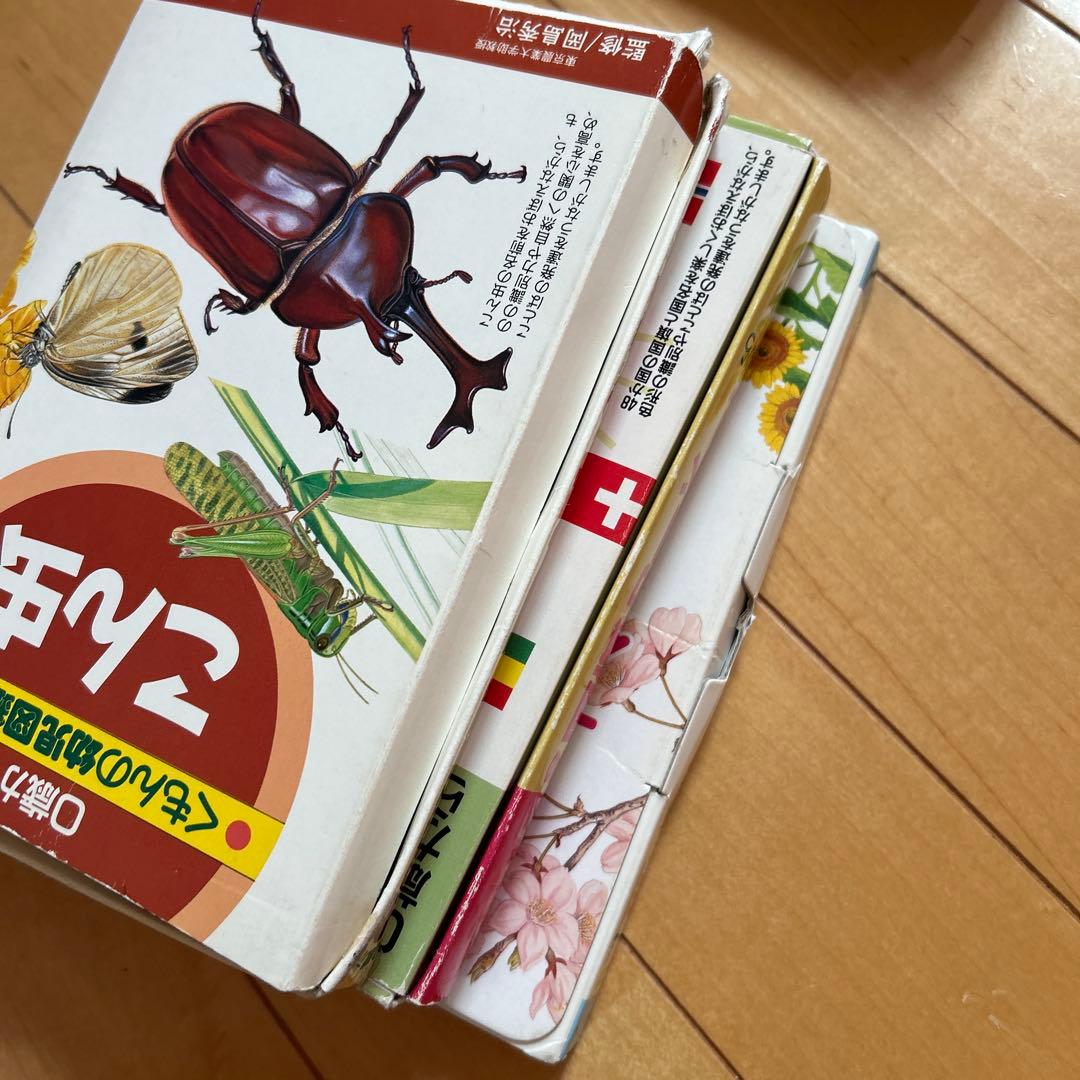 くもん式 知育カードセット　幼児　漢字・詩・四字熟語・国旗・昆虫・花・木