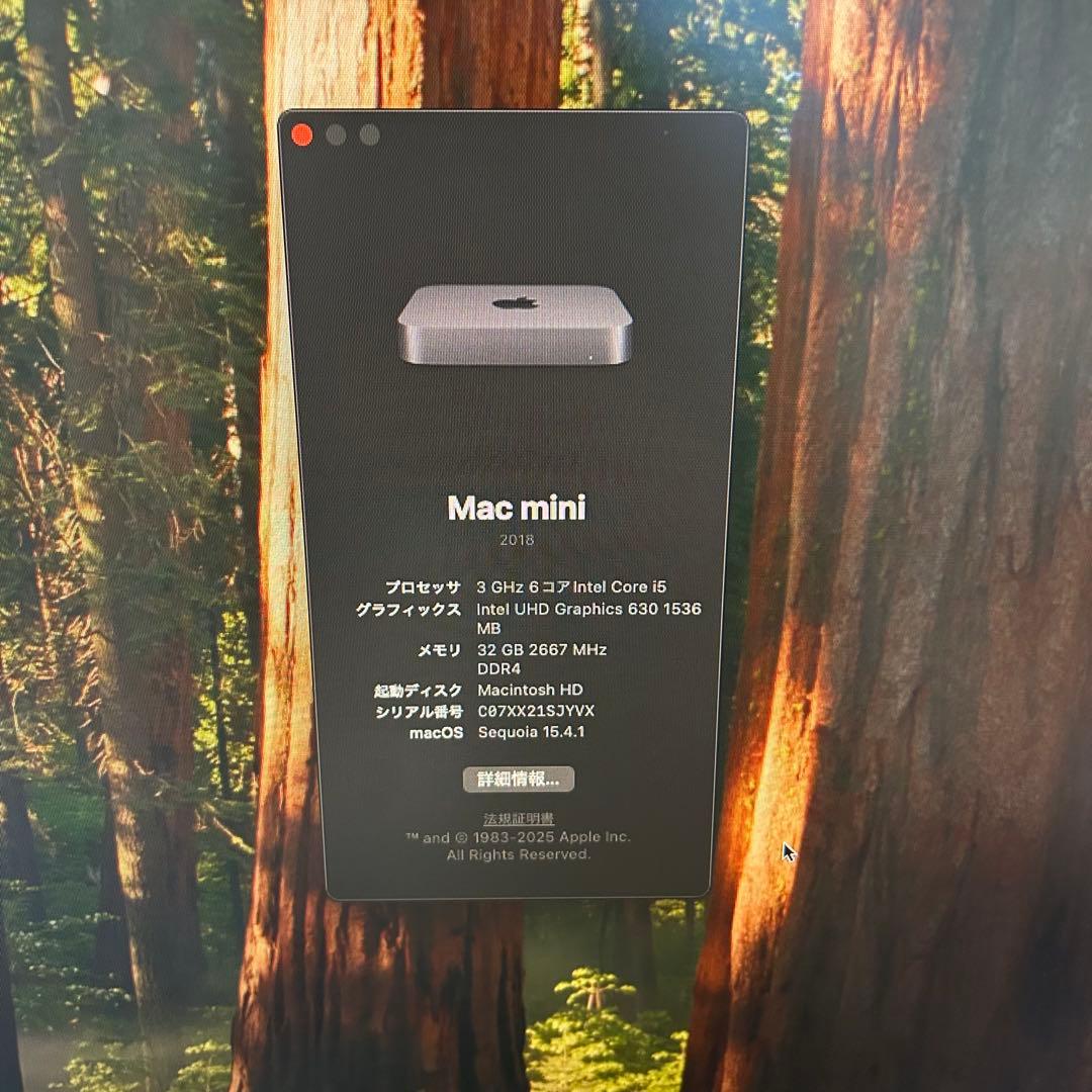 Mac Mini2018 - i5/32GB/256GB 豪華セット