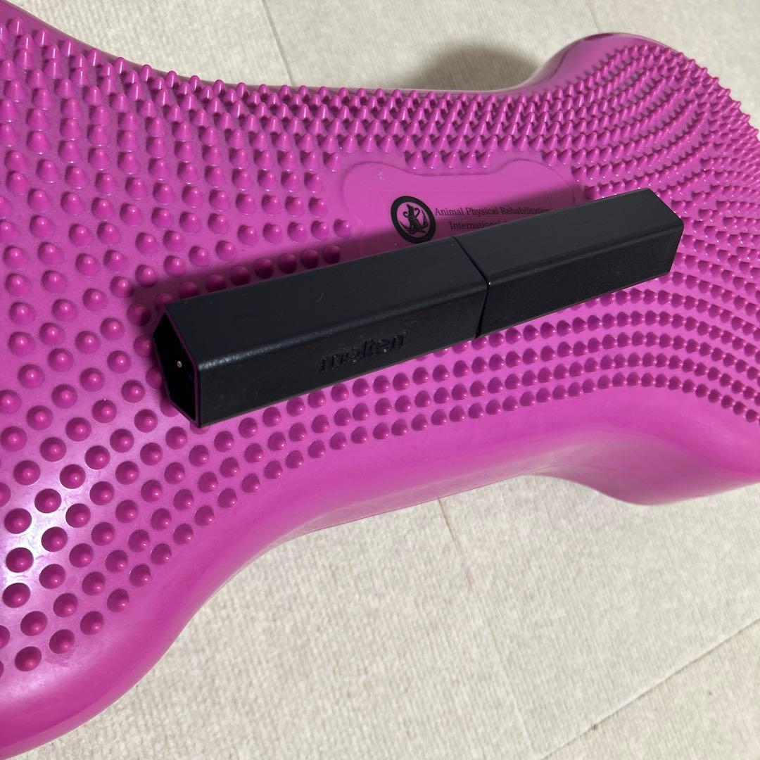 犬　バランスボーン　バランスボール　空気入れ付き