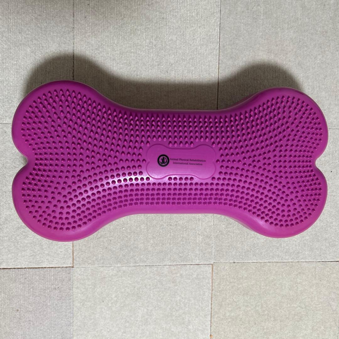 犬　バランスボーン　バランスボール　空気入れ付き