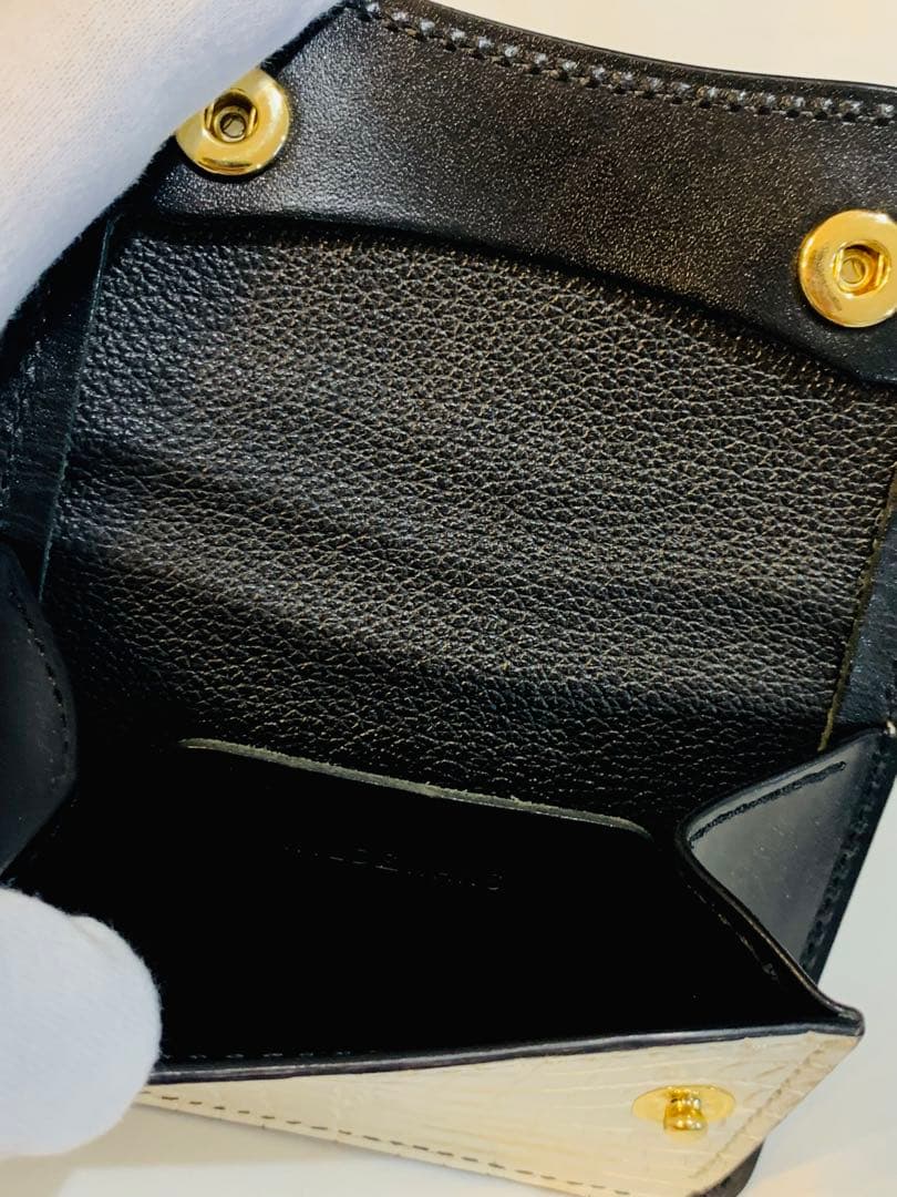 ワイルドスワンズ　ヒマラヤクロコ