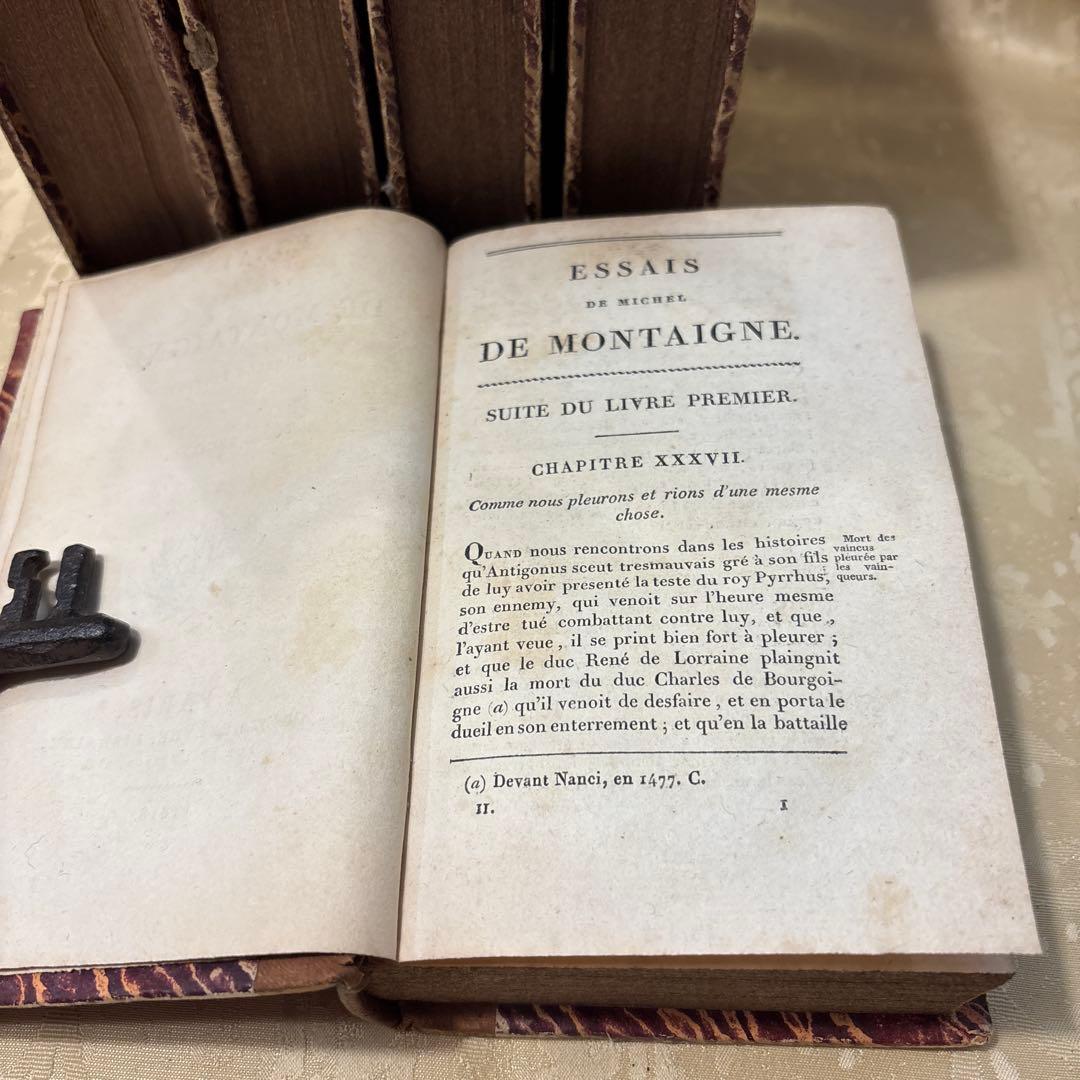 アンティーク　ビンテージ　フランス語　洋書　古書　洋古書　5巻セット