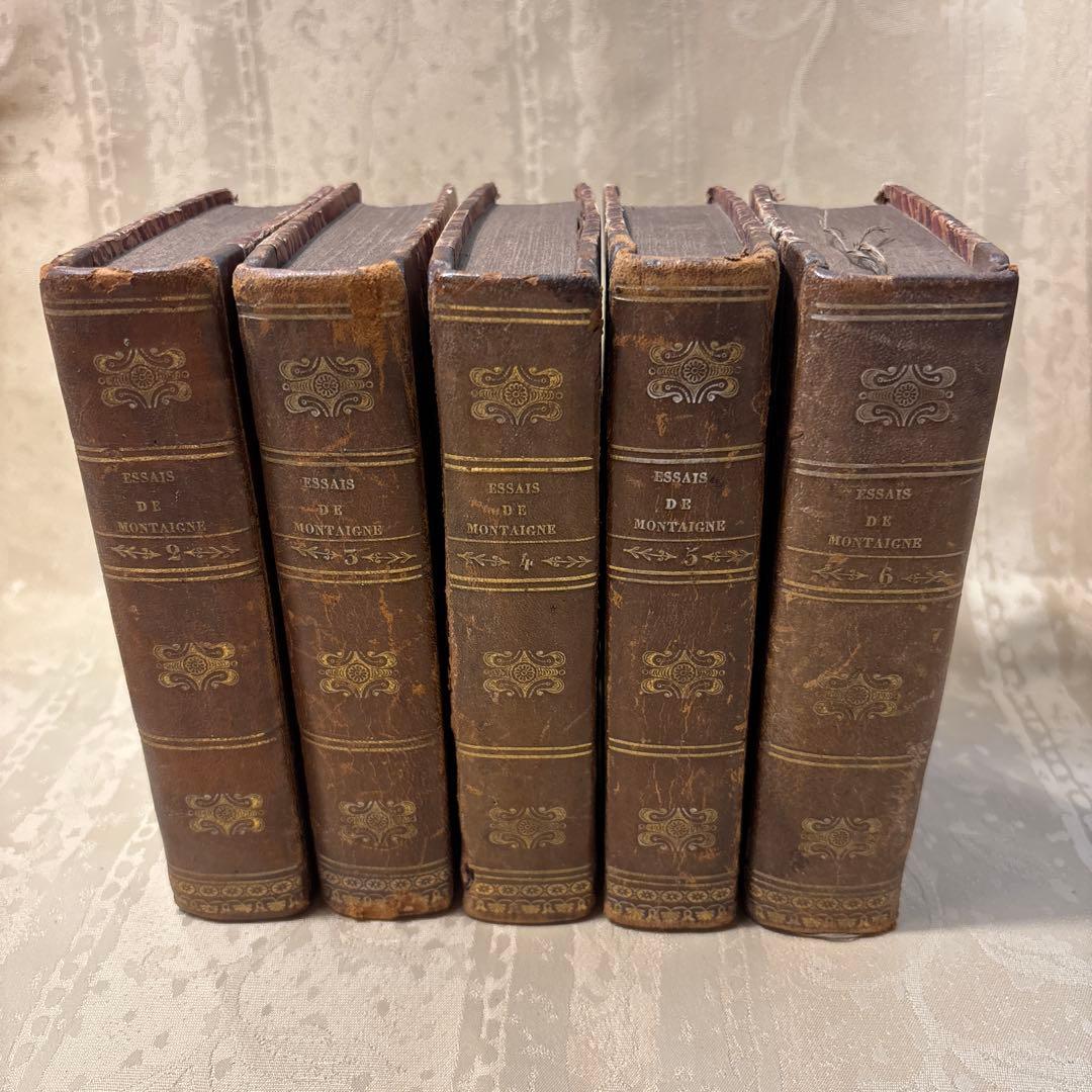 アンティーク　ビンテージ　フランス語　洋書　古書　洋古書　5巻セット