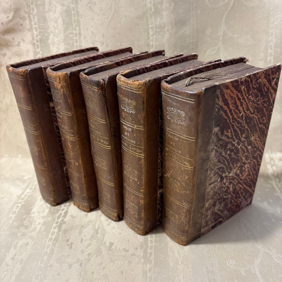 アンティーク　ビンテージ　フランス語　洋書　古書　洋古書　5巻セット