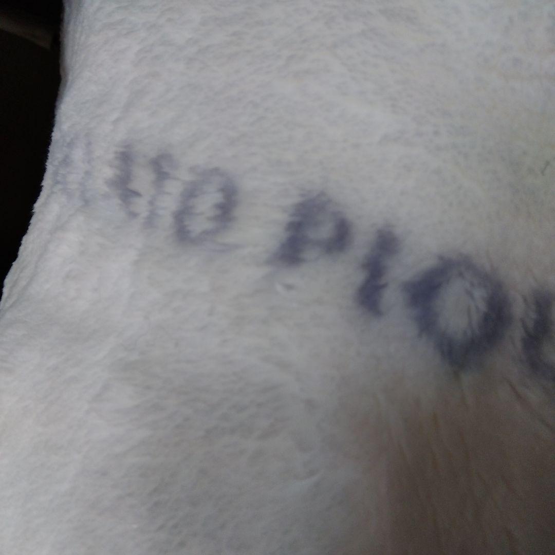 新品 ジェラートピケ Sleep DOG柄 プリント毛布