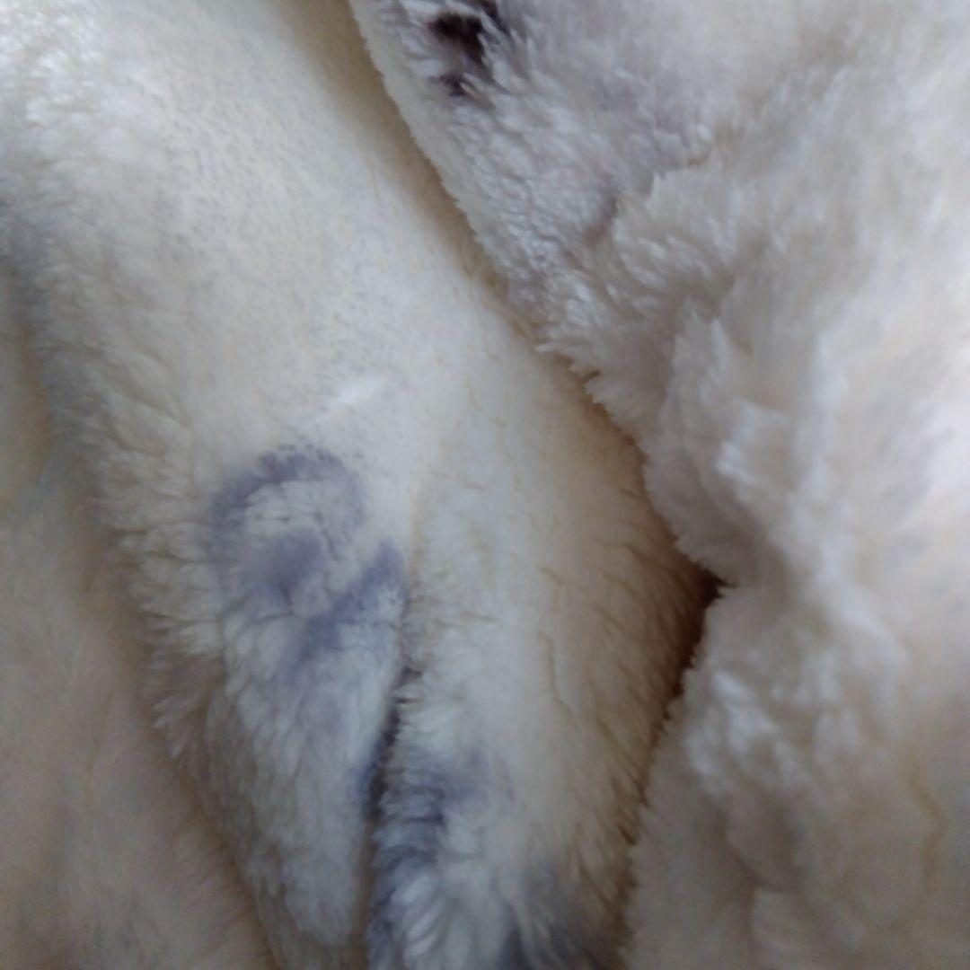 新品 ジェラートピケ Sleep DOG柄 プリント毛布