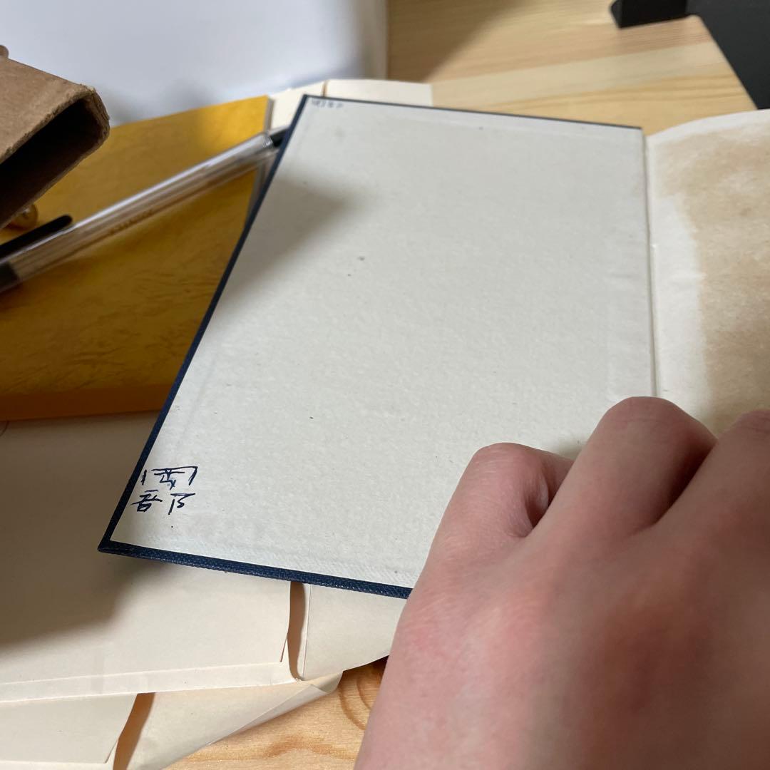 希少　古書　心理学　誰でも容易に熟達する催眠施術法　清水芳洲　大正9年発行