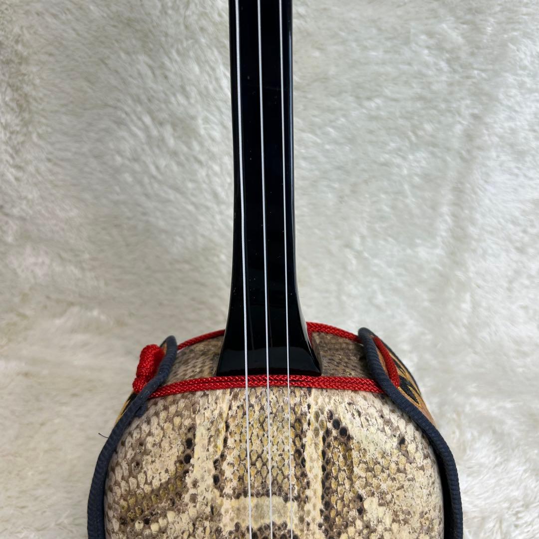 沖縄三線 三味線 へび皮 蛇皮 蛇革　琉球　1枚張り