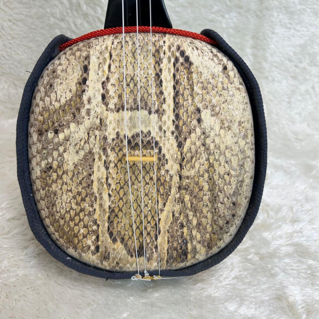 沖縄三線 三味線 へび皮 蛇皮 蛇革　琉球　1枚張り
