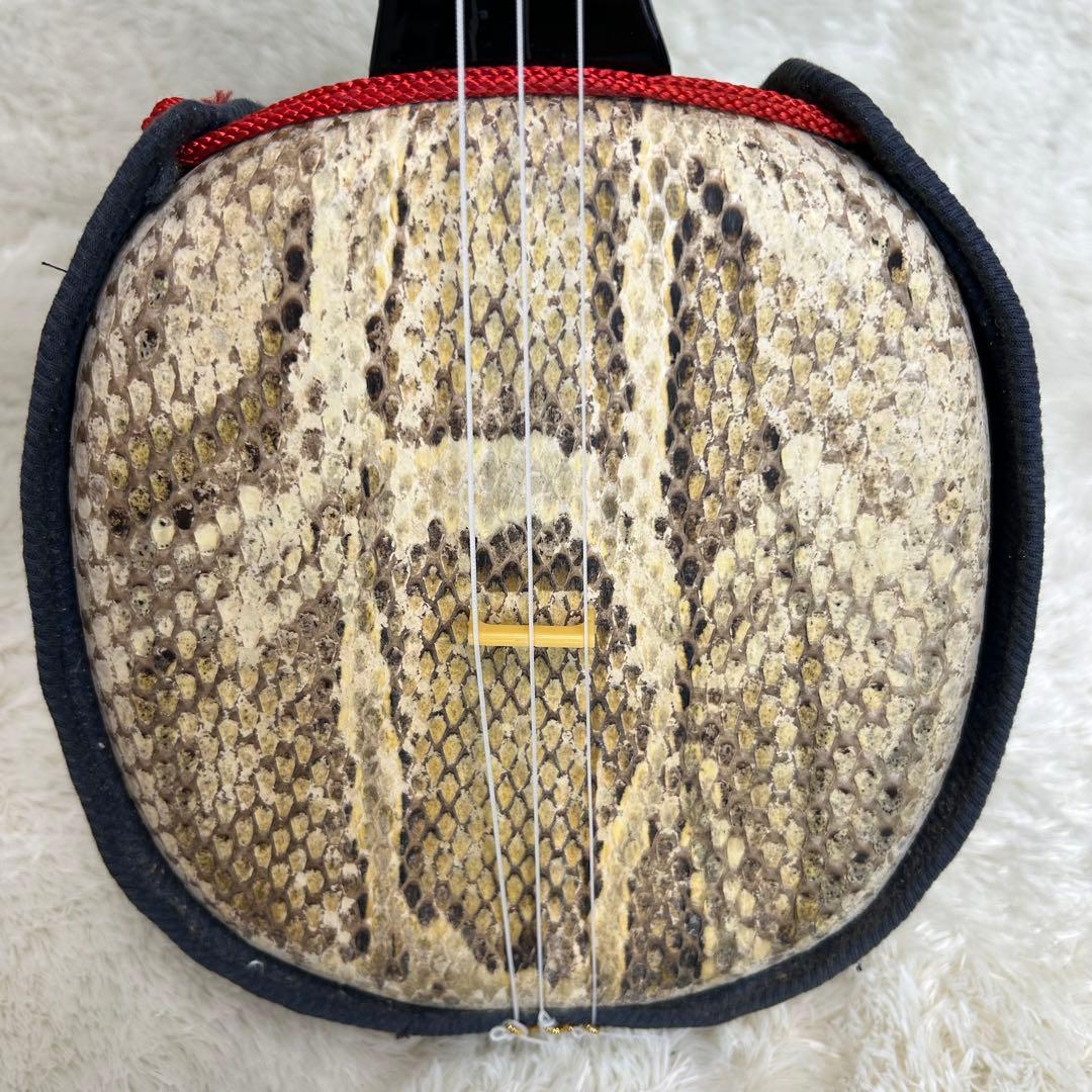 沖縄三線 三味線 へび皮 蛇皮 蛇革　琉球　1枚張り