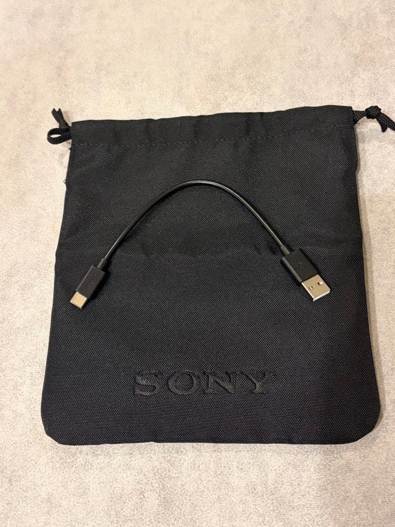 ☆超美品☆SONY Float Run WI-OE610 ワイヤレスイヤホン