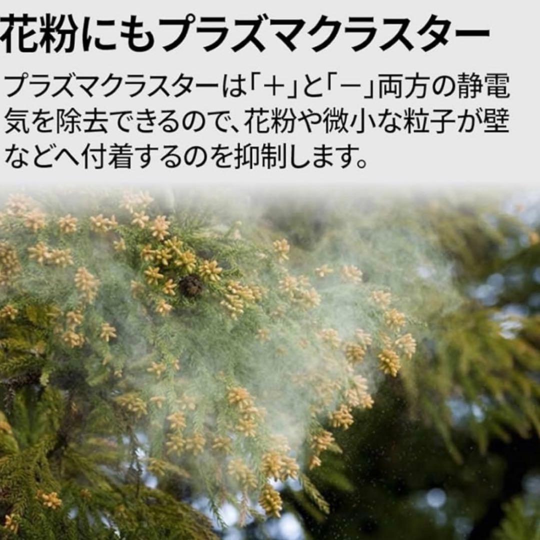 【早い者勝ち！ほぼ未使用 】SHARP 空気清浄機 KC-G50-W