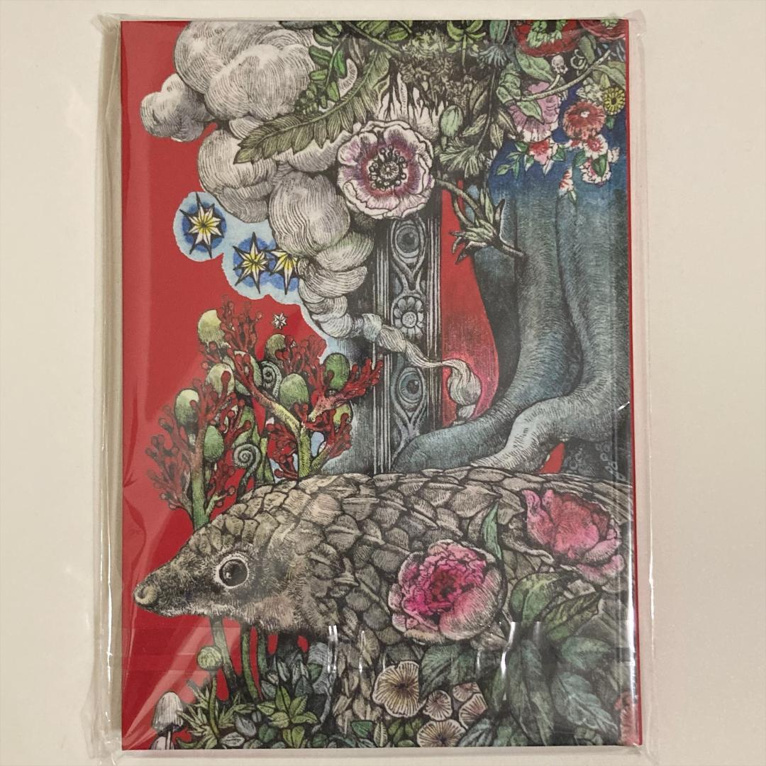 台湾限定 画集 フライヤー付 台湾 樋口裕子展 ヒグチユウコ 奇幻動物森林