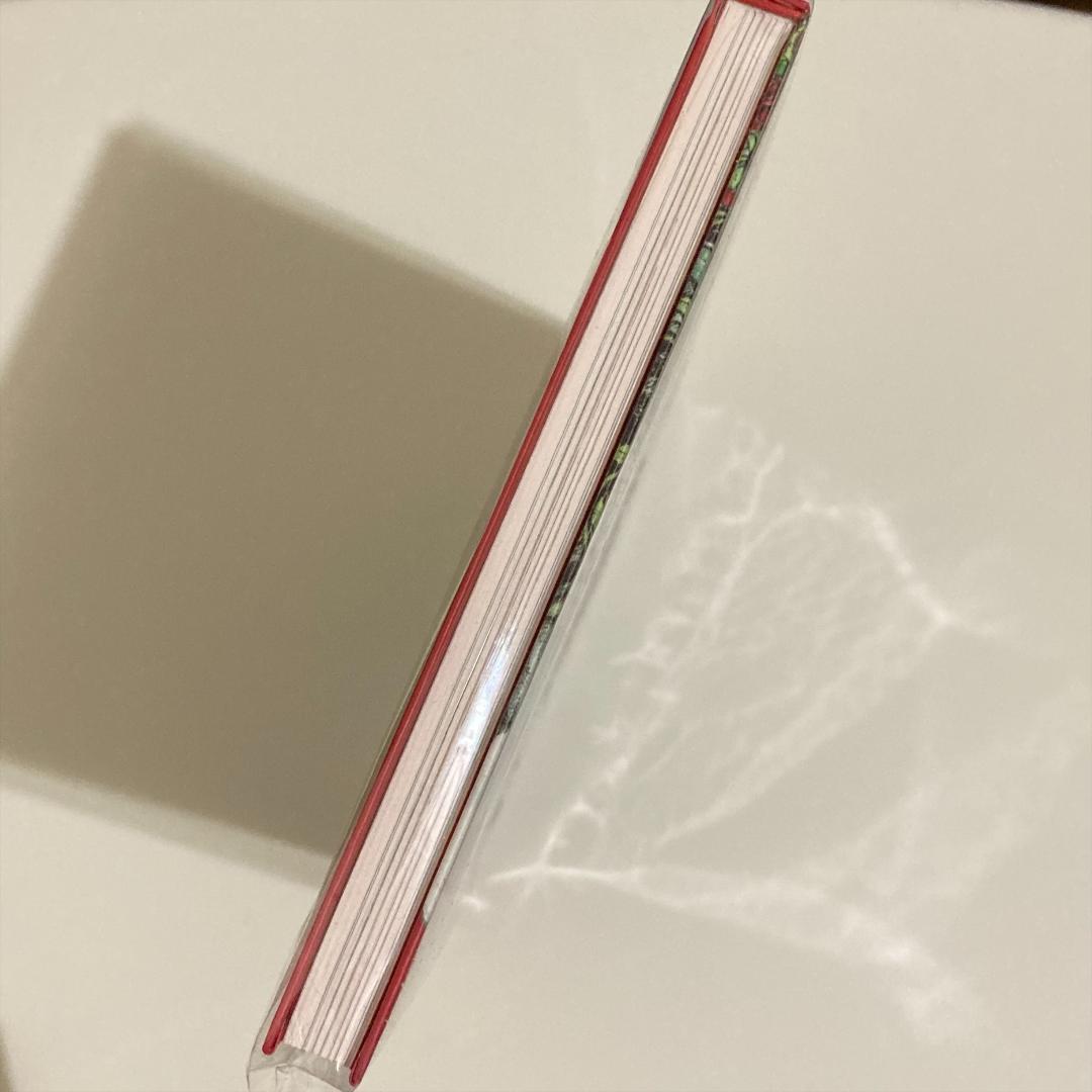 台湾限定 画集 フライヤー付 台湾 樋口裕子展 ヒグチユウコ 奇幻動物森林