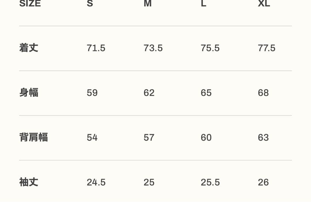 新品タグ付LYFT ブラックフライデー2025限定Tシャツ Sサイズ