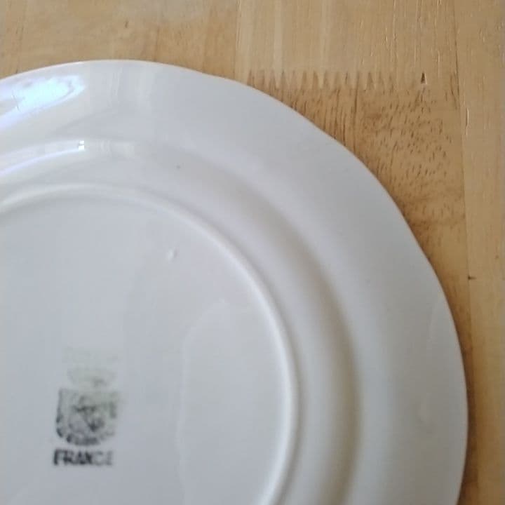【専用】フランスアンティーク　サルグミンヌグリザイユ　デザート皿