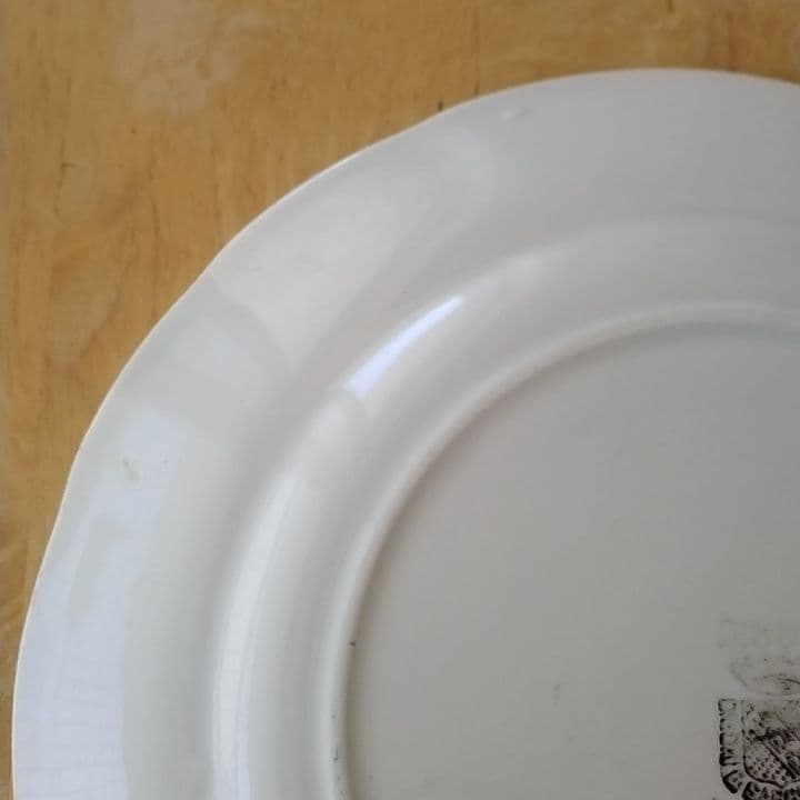 【専用】フランスアンティーク　サルグミンヌグリザイユ　デザート皿