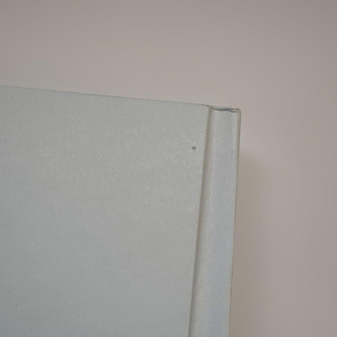 奥山由之　The Good Side グッドサイド