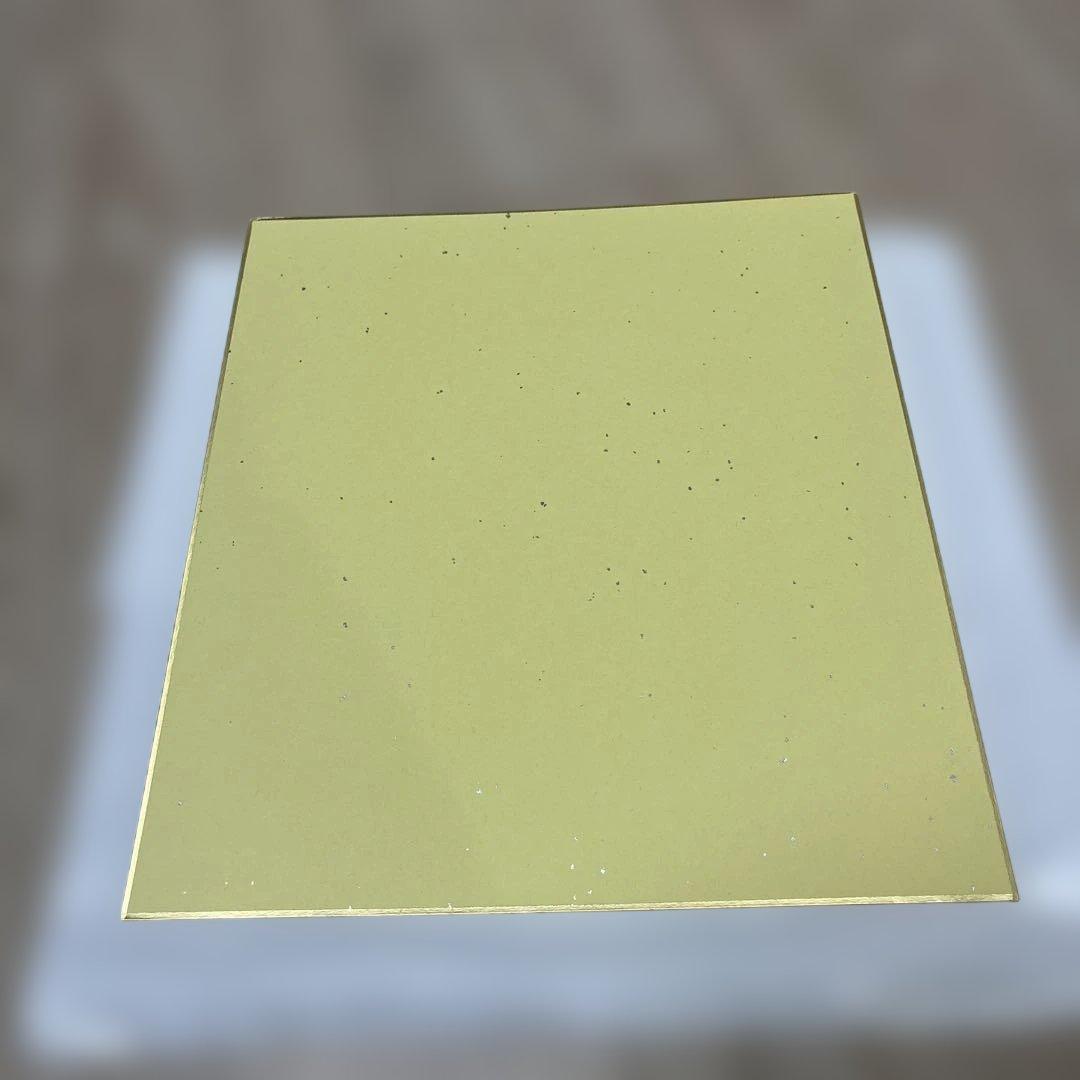 読売巨人軍 甲斐拓也選手 直筆サイン色紙