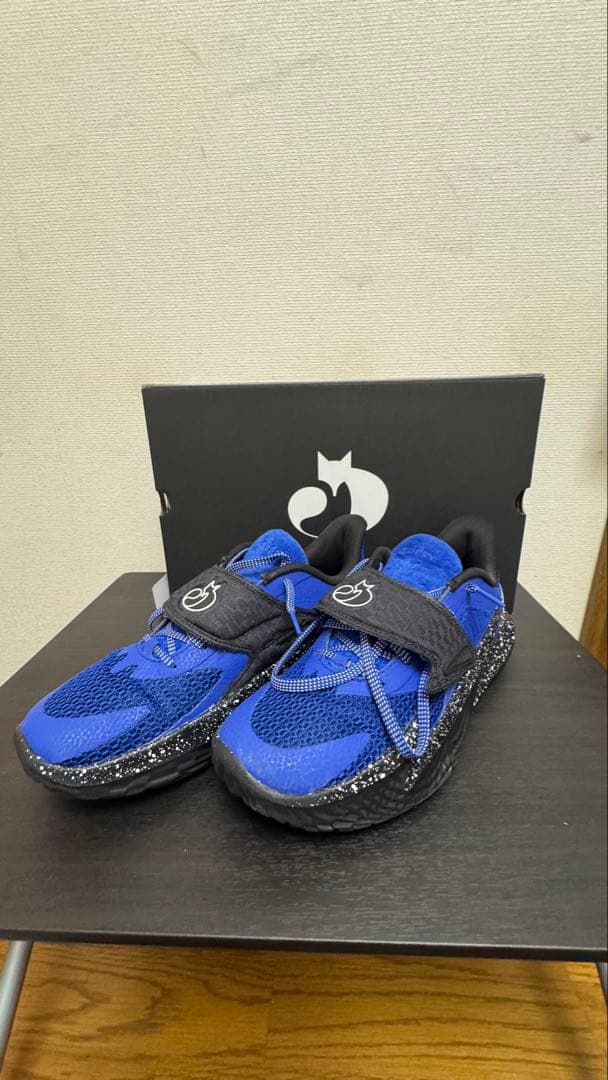 アンダーアーマーcurry FOX2