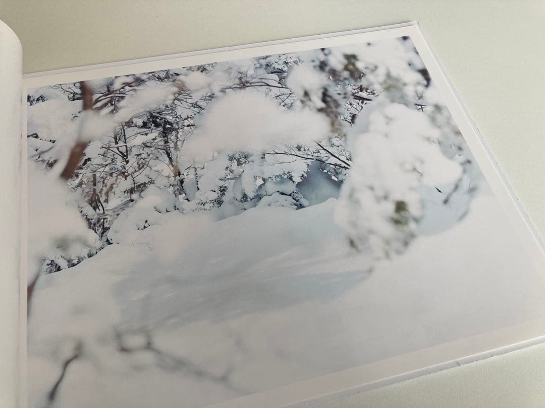 鈴木理策 / 写真集2冊セット（Sakura、White）