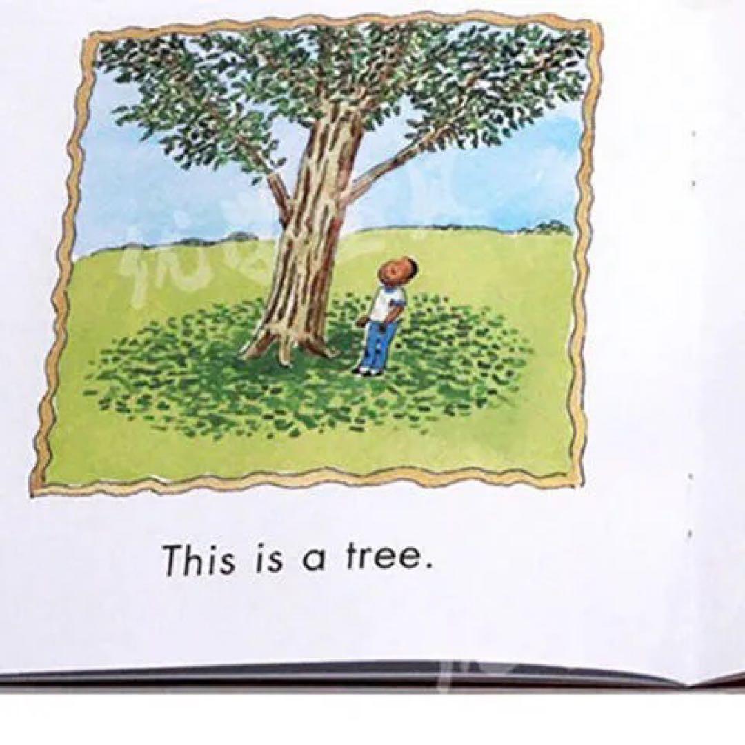 morning　5せっと