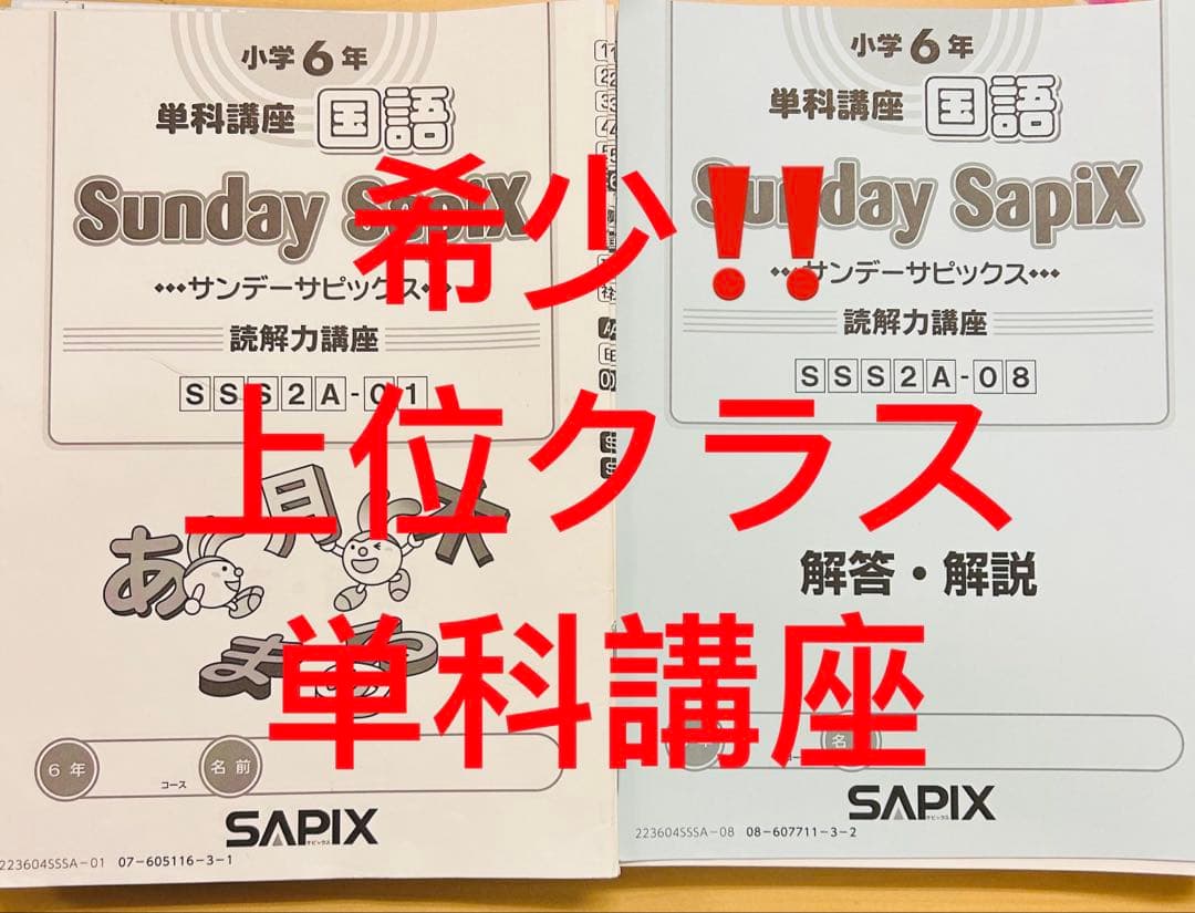 0㉓b サピックス　SAPIX 6年　Sunday Sapix 国語　単科講座